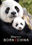 Disney Nature:Born in China